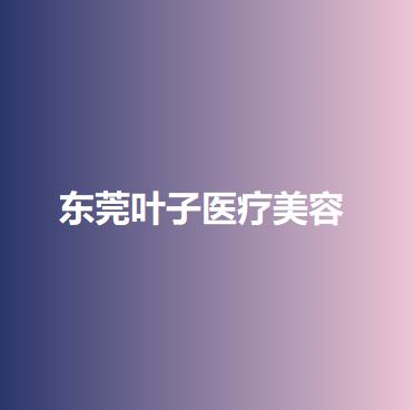 東莞葉子整形醫院價目表一（yī）覽：私密整形與耳部整形費用多少，價（jià）格（gé）貴嗎？